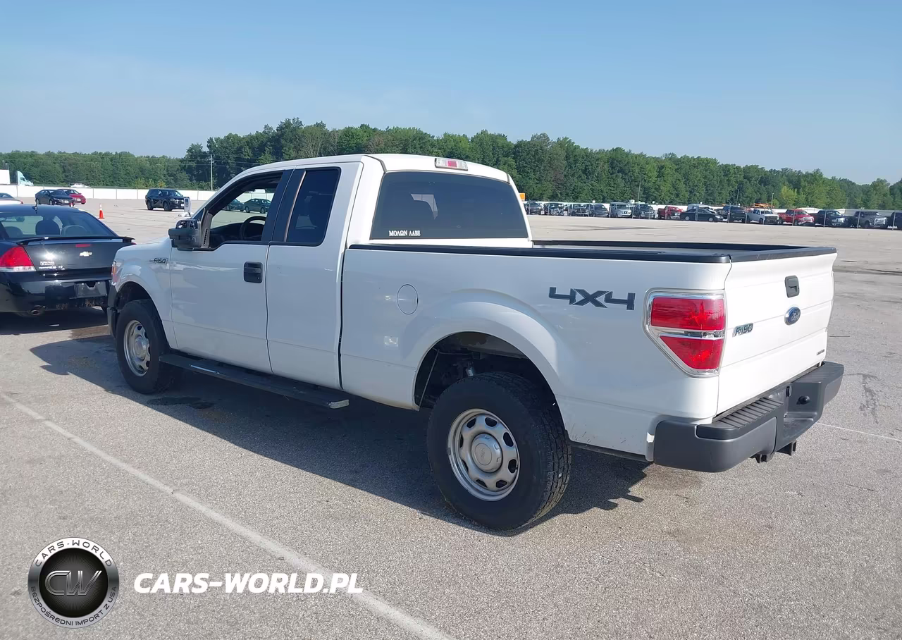 2013 Ford F-150 Fx4-Lariat-Stx-Xl-Xlt VIN:1FTFX1EF4DKE99453 - 3