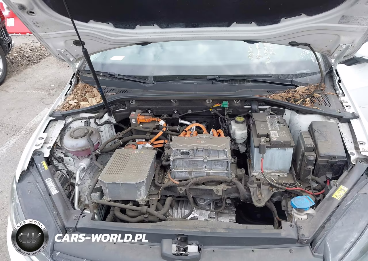 2019 Volkswagen E-Golf Se VIN:WVWKR7AU3KW902408 - 10