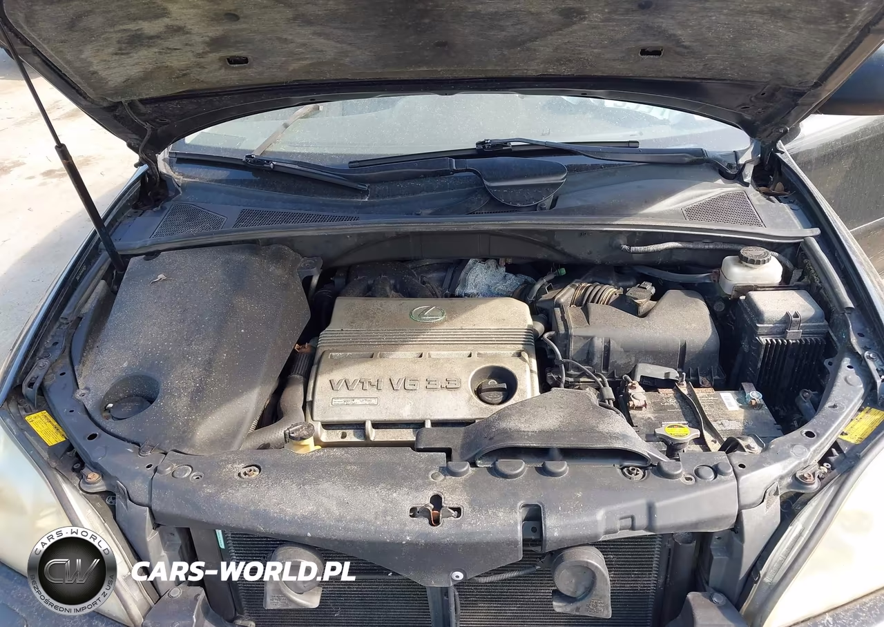2004 Lexus Rx 330 VIN:2T2HA31U54C018729 - 10