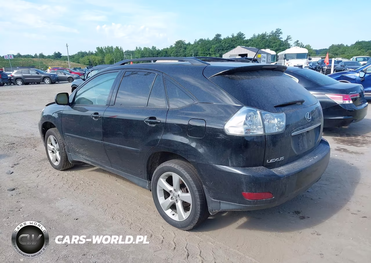 2004 Lexus Rx 330 VIN:2T2HA31U54C018729 - 3
