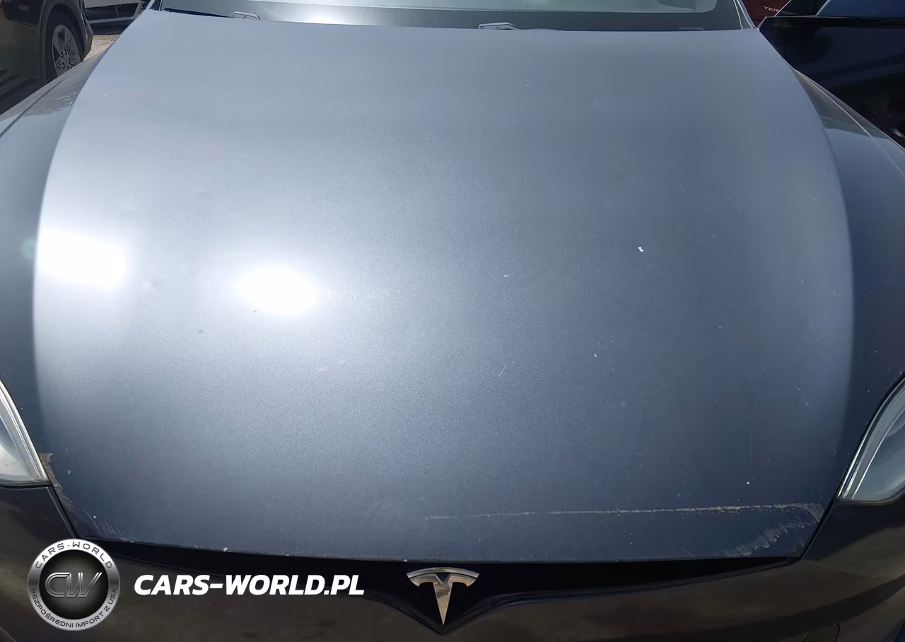 2021 Tesla Model S Long Range Dual Motor All-Wheel Drive VIN:5YJSA1E54MF428192 - 10