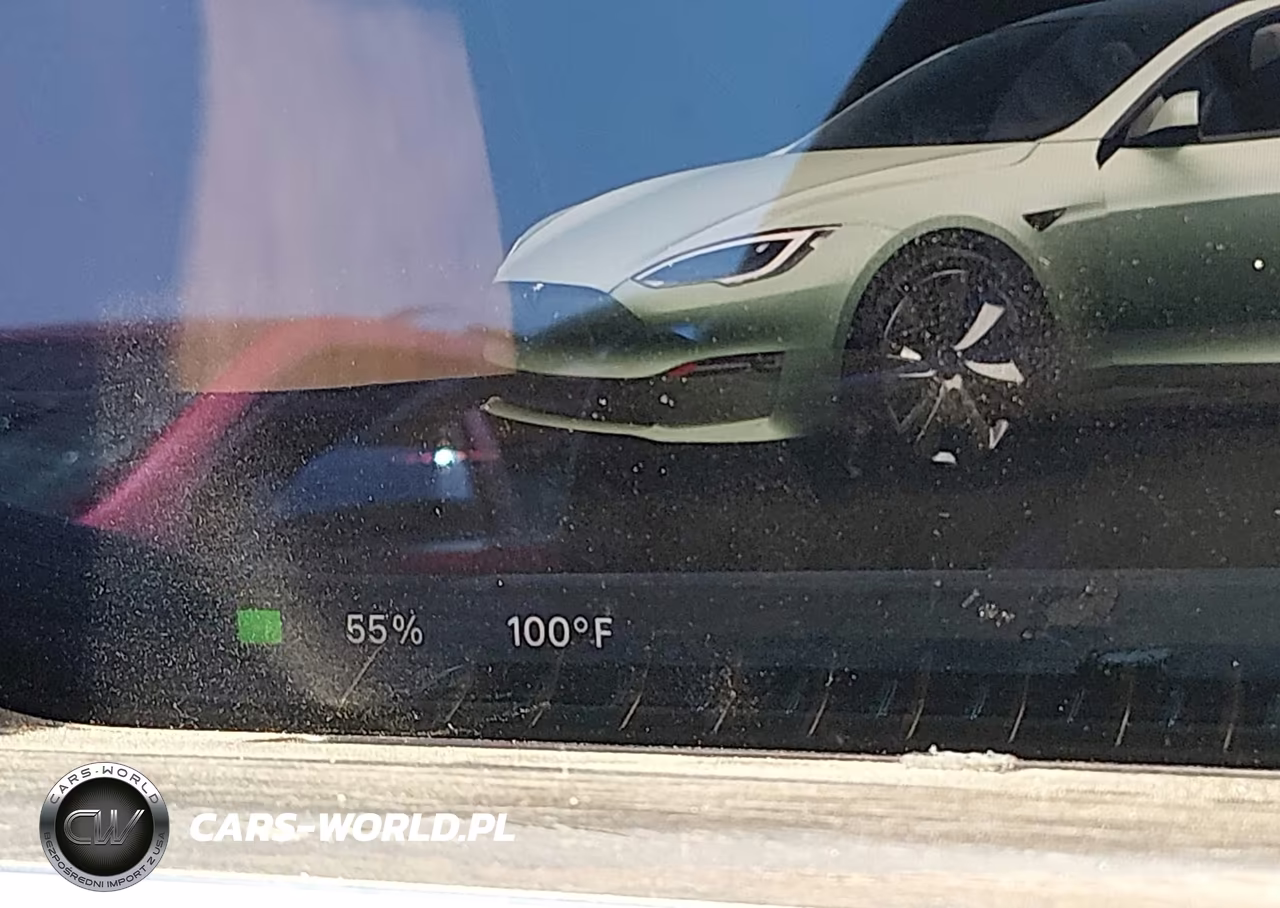 2021 Tesla Model S Long Range Dual Motor All-Wheel Drive VIN:5YJSA1E54MF428192 - 16