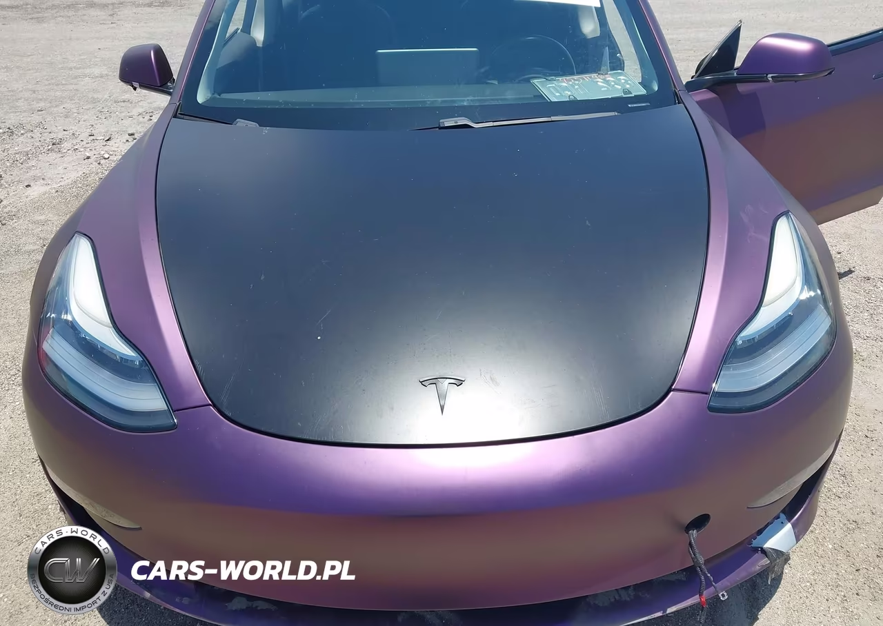 2017 Tesla Model 3 Long Range-Standard VIN:5YJ3E1EA0HF001832 - 10