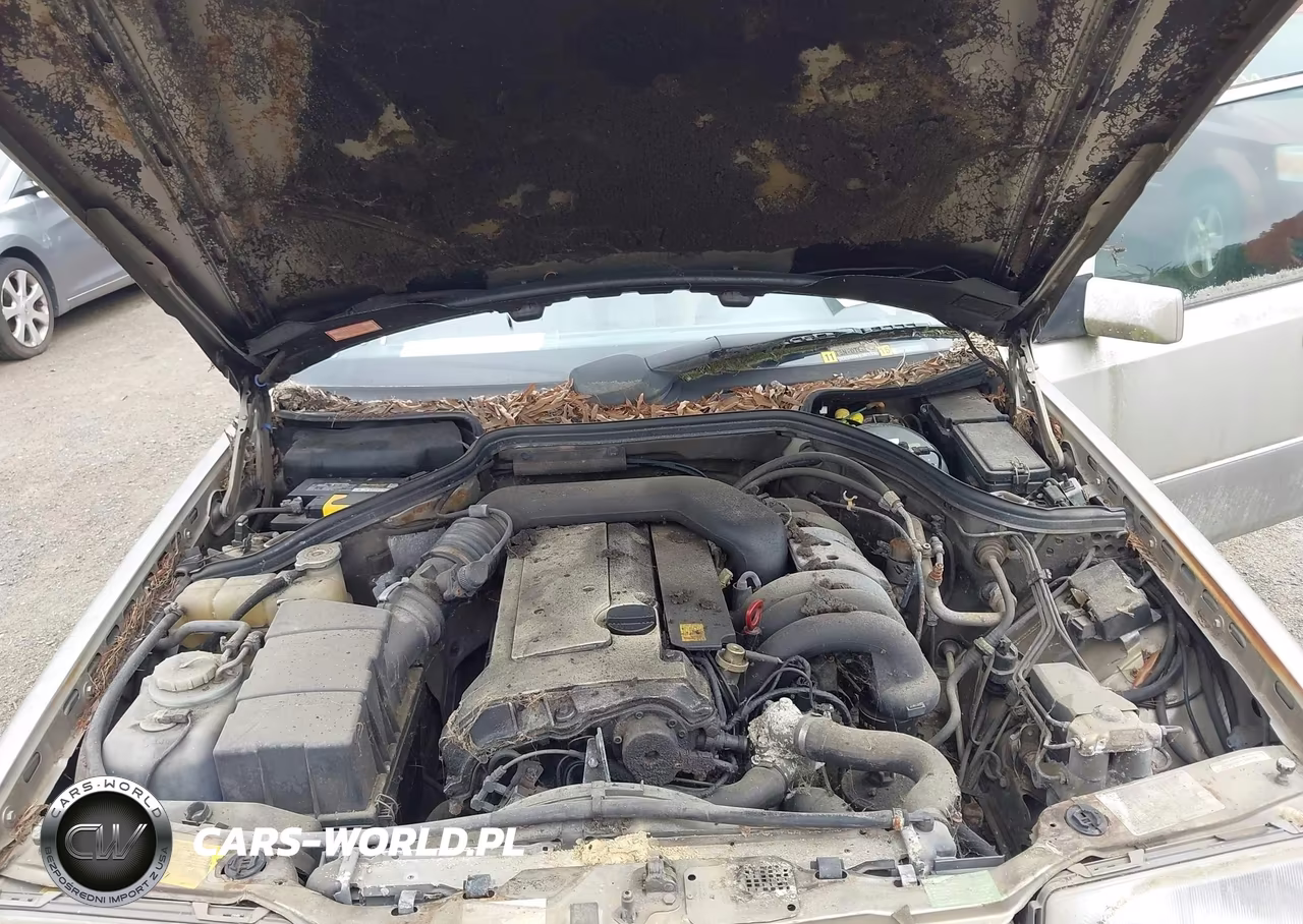 1995 Mercedes-Benz E 320 Base-320 Special VIN:WDBEA32E2SC258288 - 10