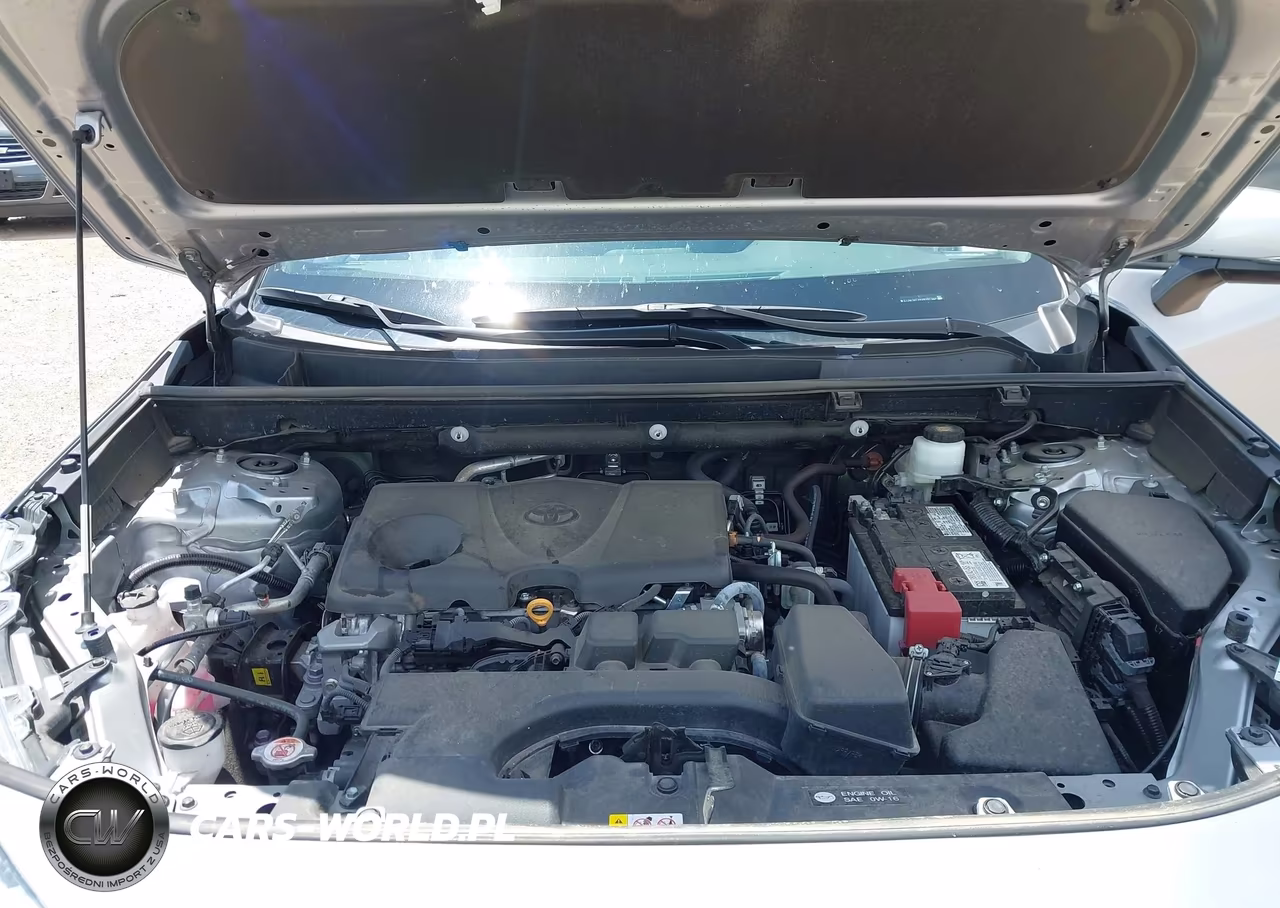 2025 Toyota Rav4 Xle VIN:2T3W1RFV6SW387022 - 10