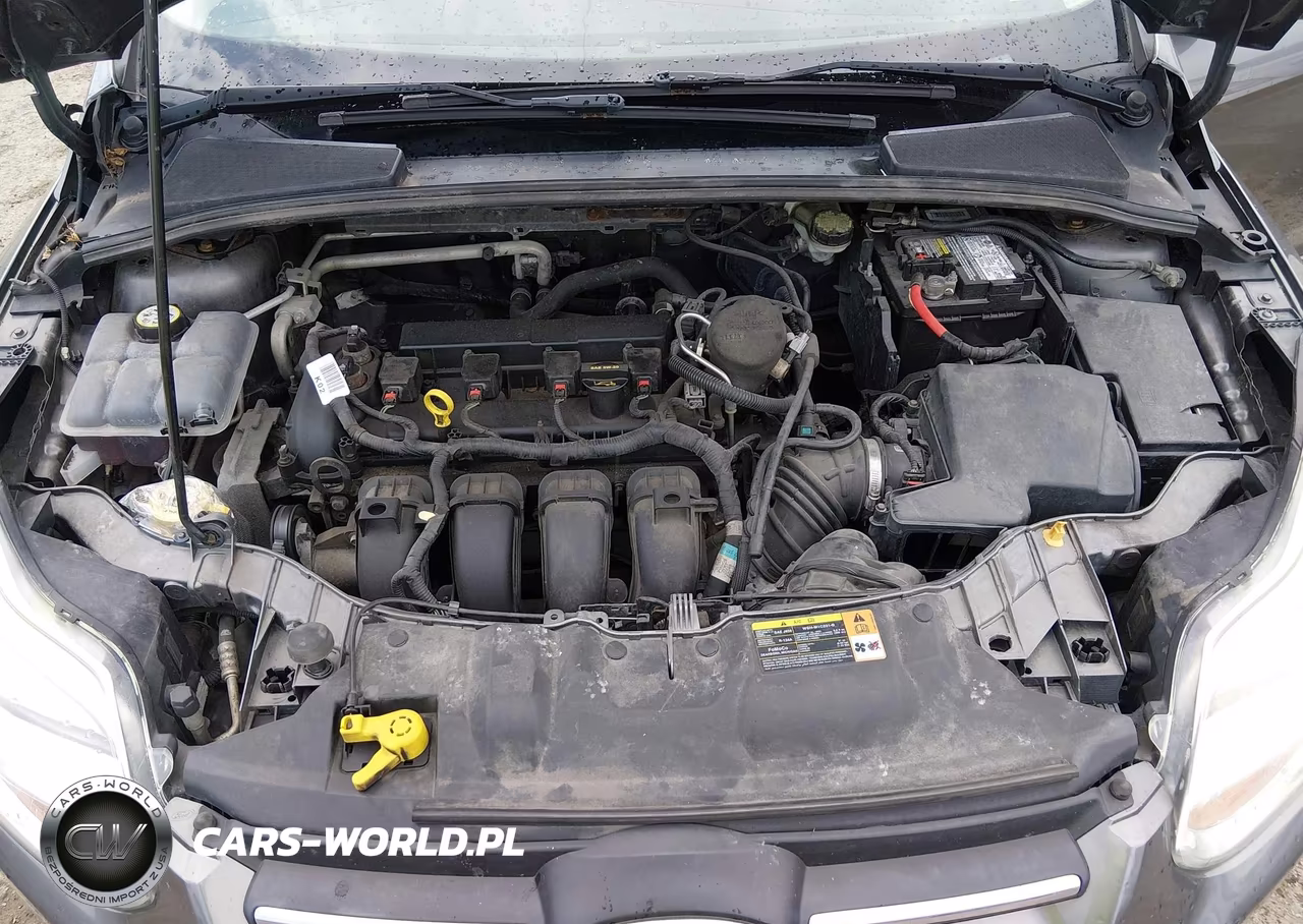 2013 Ford Focus Se VIN:1FADP3F22DL261972 - 10