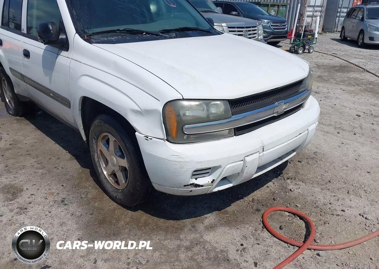 2004 Chevrolet Trailblazer Ls VIN:1GNDS13S842148171 - 13