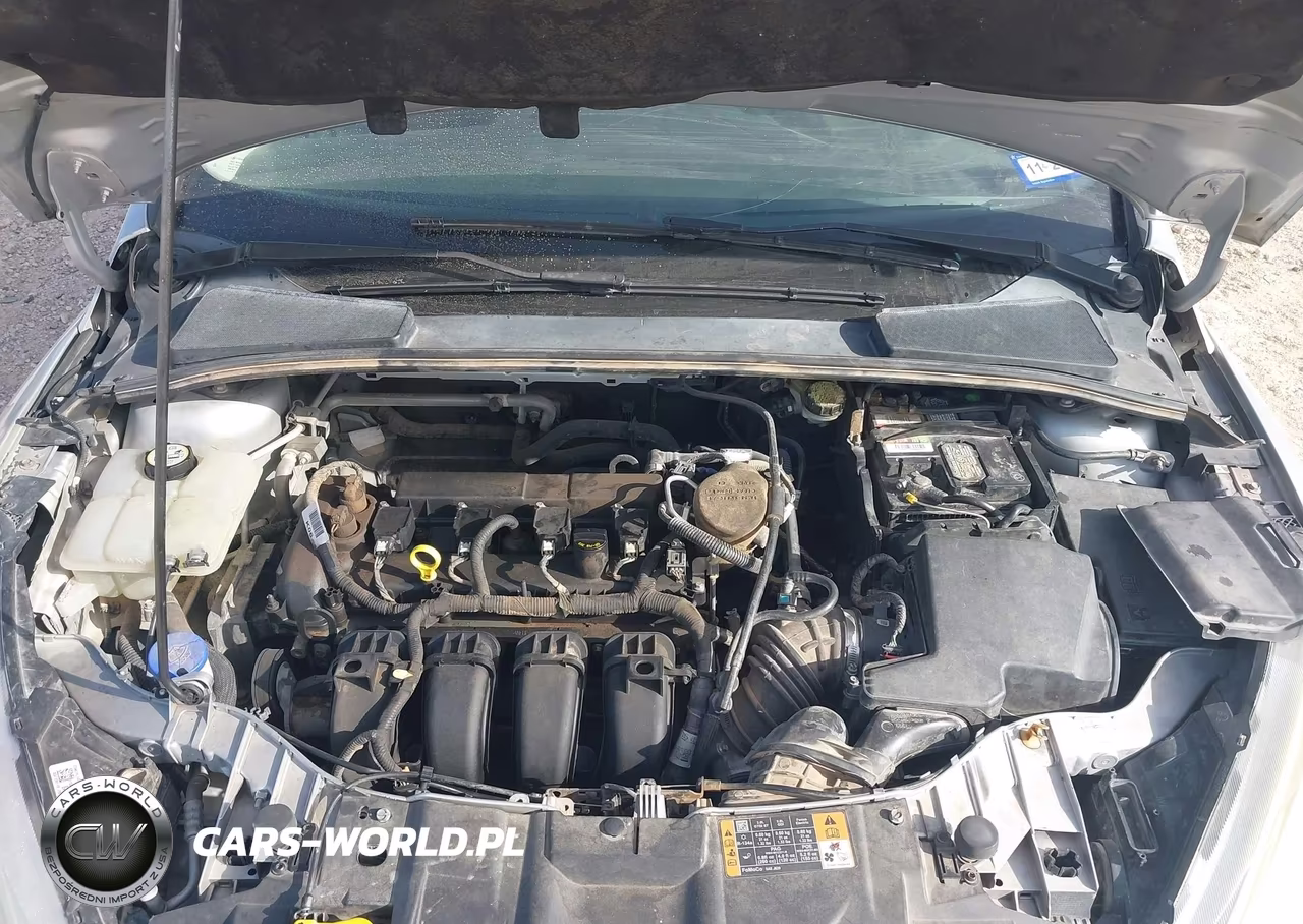 2016 Ford Focus Se VIN:1FADP3F27GL263849 - 10