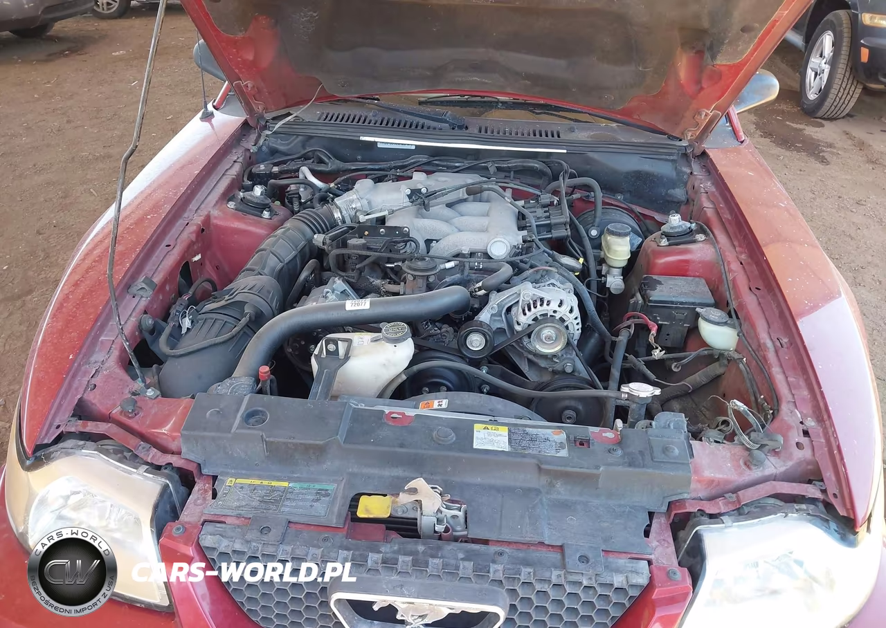 2004 Ford Mustang VIN:1FAFP44684F176380 - 10