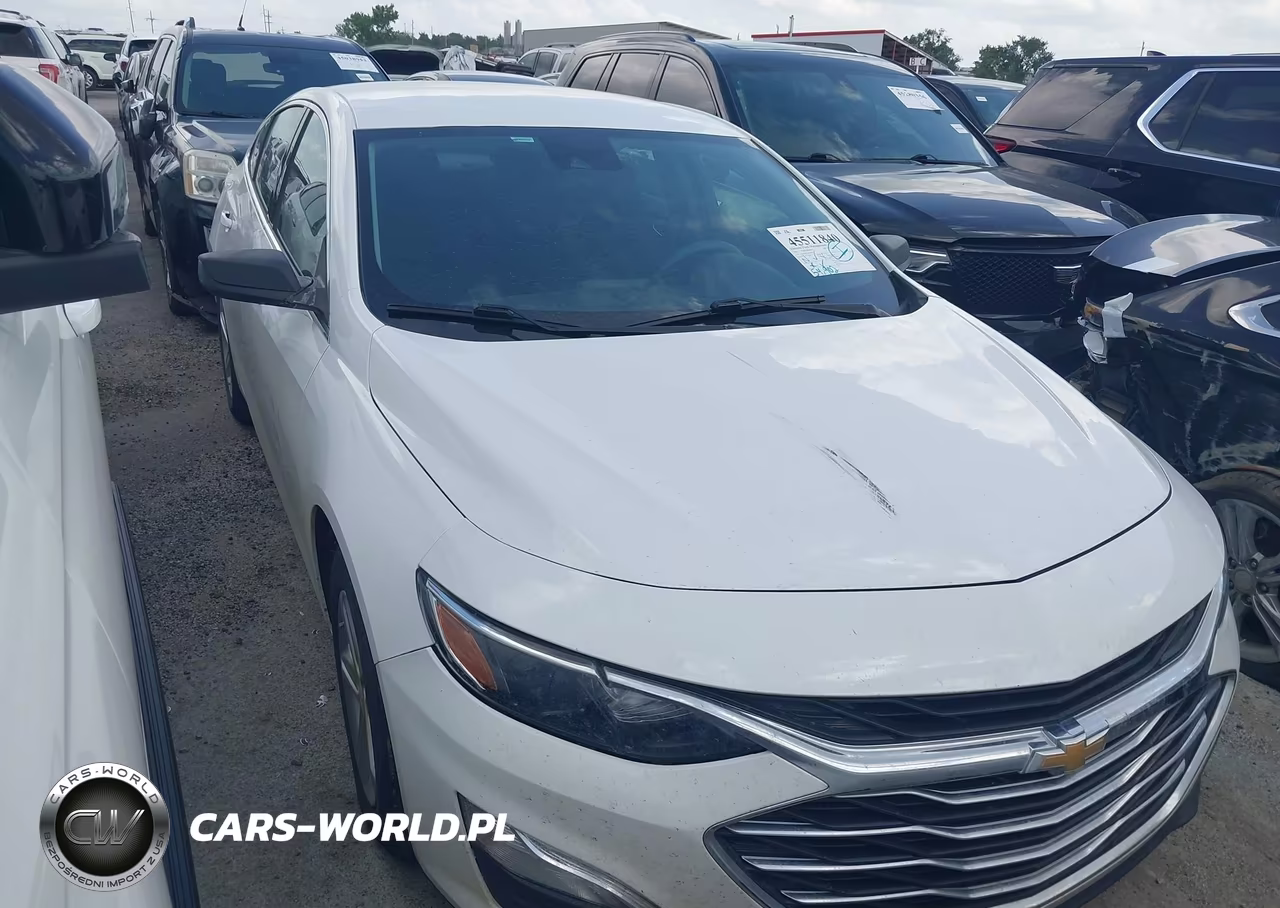 2023 Chevrolet Malibu Fwd 1Fl VIN:1G1ZC5ST3PF247273 - 13