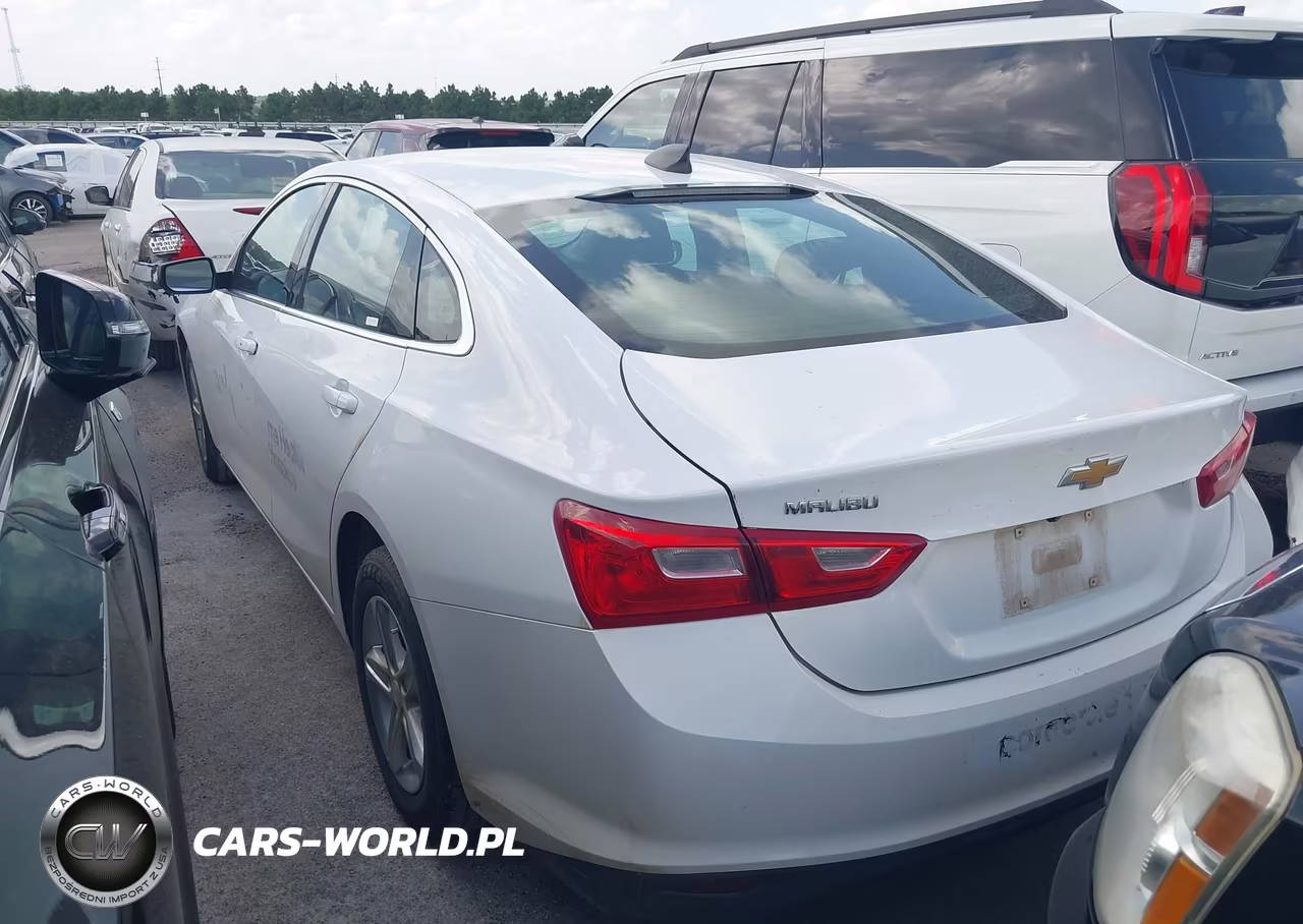 2023 Chevrolet Malibu Fwd 1Fl VIN:1G1ZC5ST3PF247273 - 3