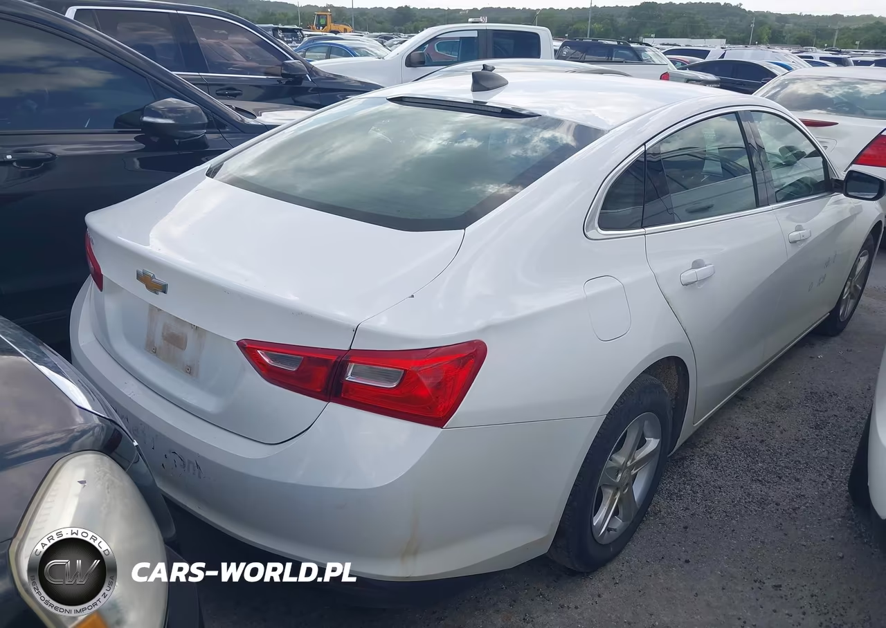 2023 Chevrolet Malibu Fwd 1Fl VIN:1G1ZC5ST3PF247273 - 4