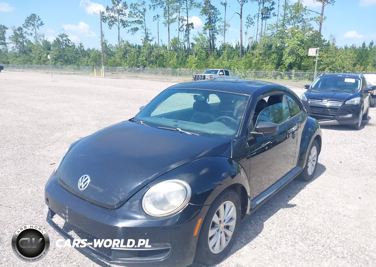 VOLKSWAGEN BEETLE VIN:3VWF17AT5FM640751 - 2
