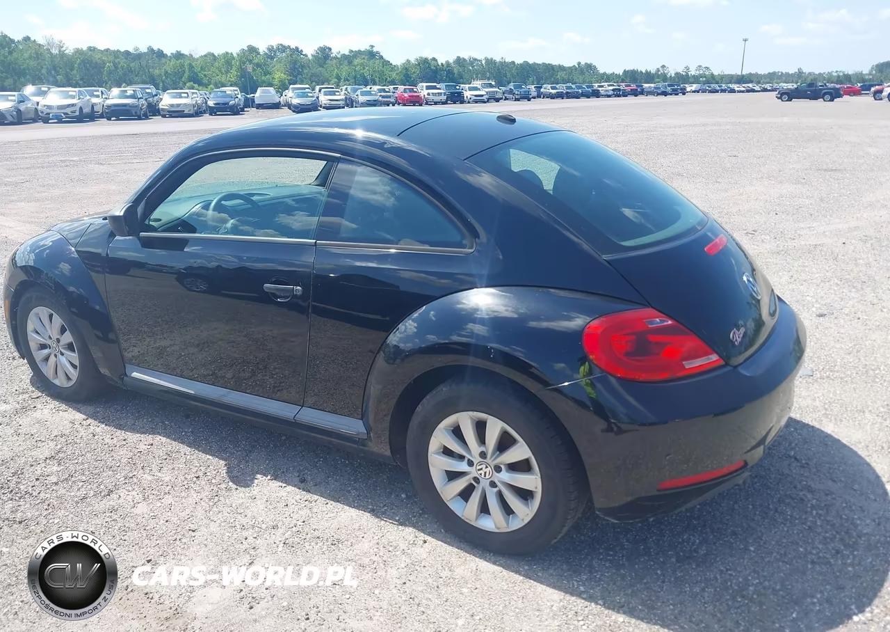 VOLKSWAGEN BEETLE VIN:3VWF17AT5FM640751 - 3