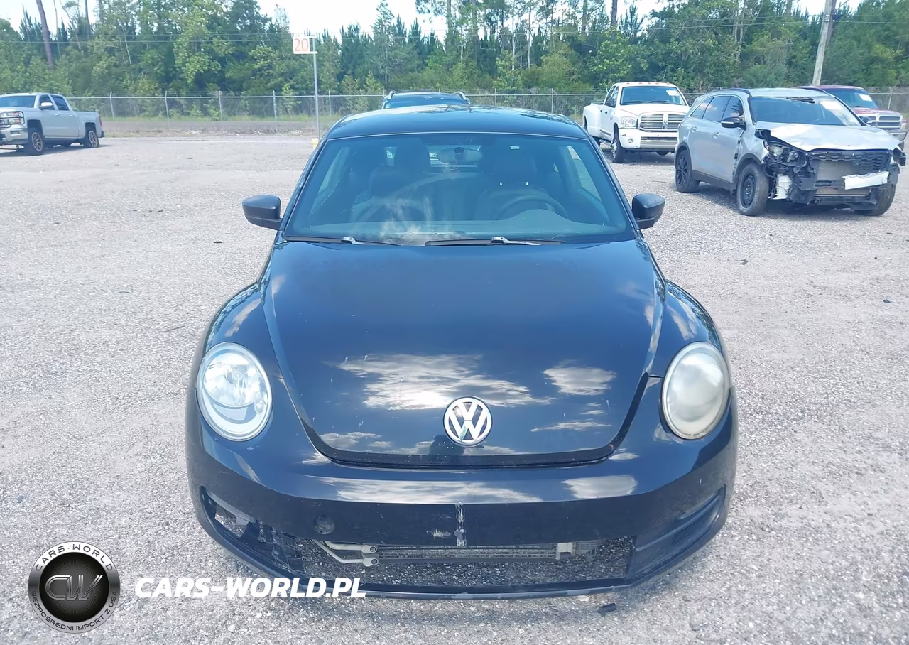 VOLKSWAGEN BEETLE VIN:3VWF17AT5FM640751 - 6