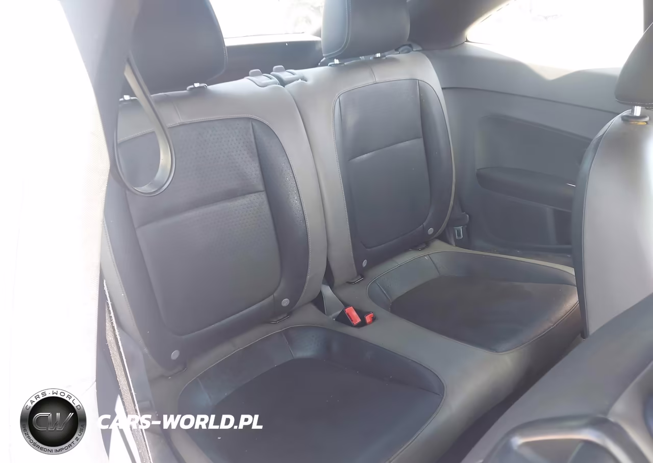 VOLKSWAGEN BEETLE VIN:3VWF17AT5FM640751 - 8