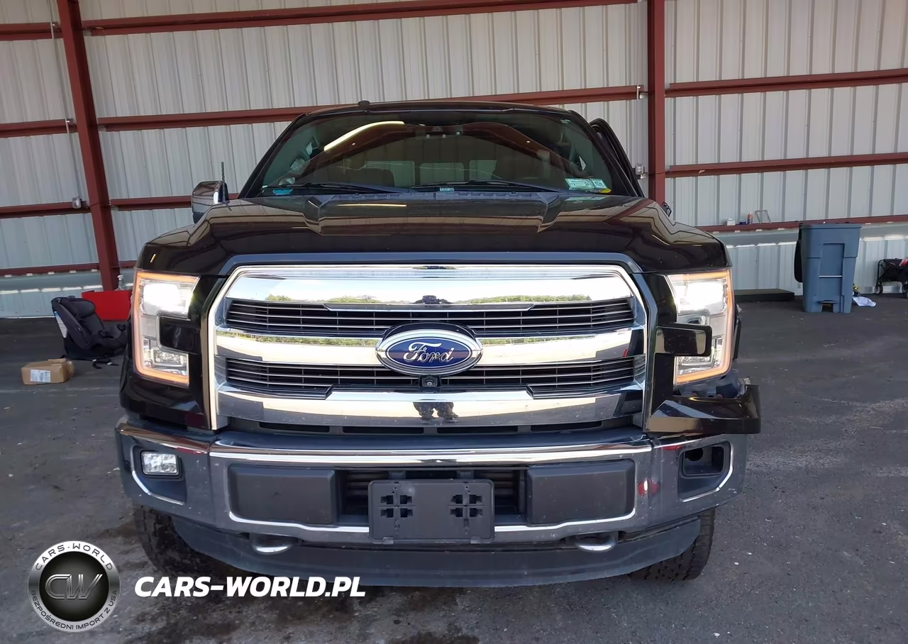 2016 Ford F-150 King Ranch-Lariat-Limited-Platinum-Xl-Xlt VIN:1FTEW1EG1GFA41874 - 12