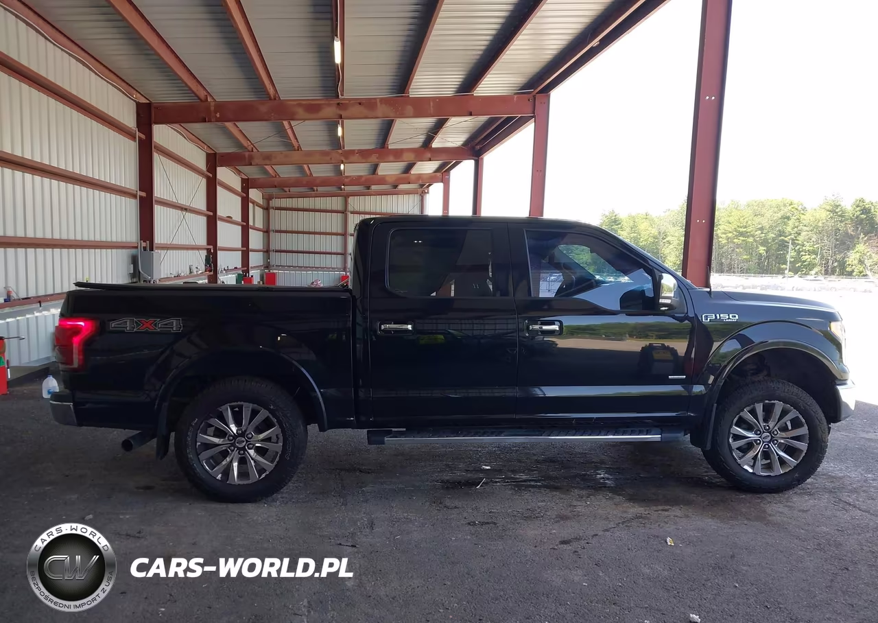 2016 Ford F-150 King Ranch-Lariat-Limited-Platinum-Xl-Xlt VIN:1FTEW1EG1GFA41874 - 13