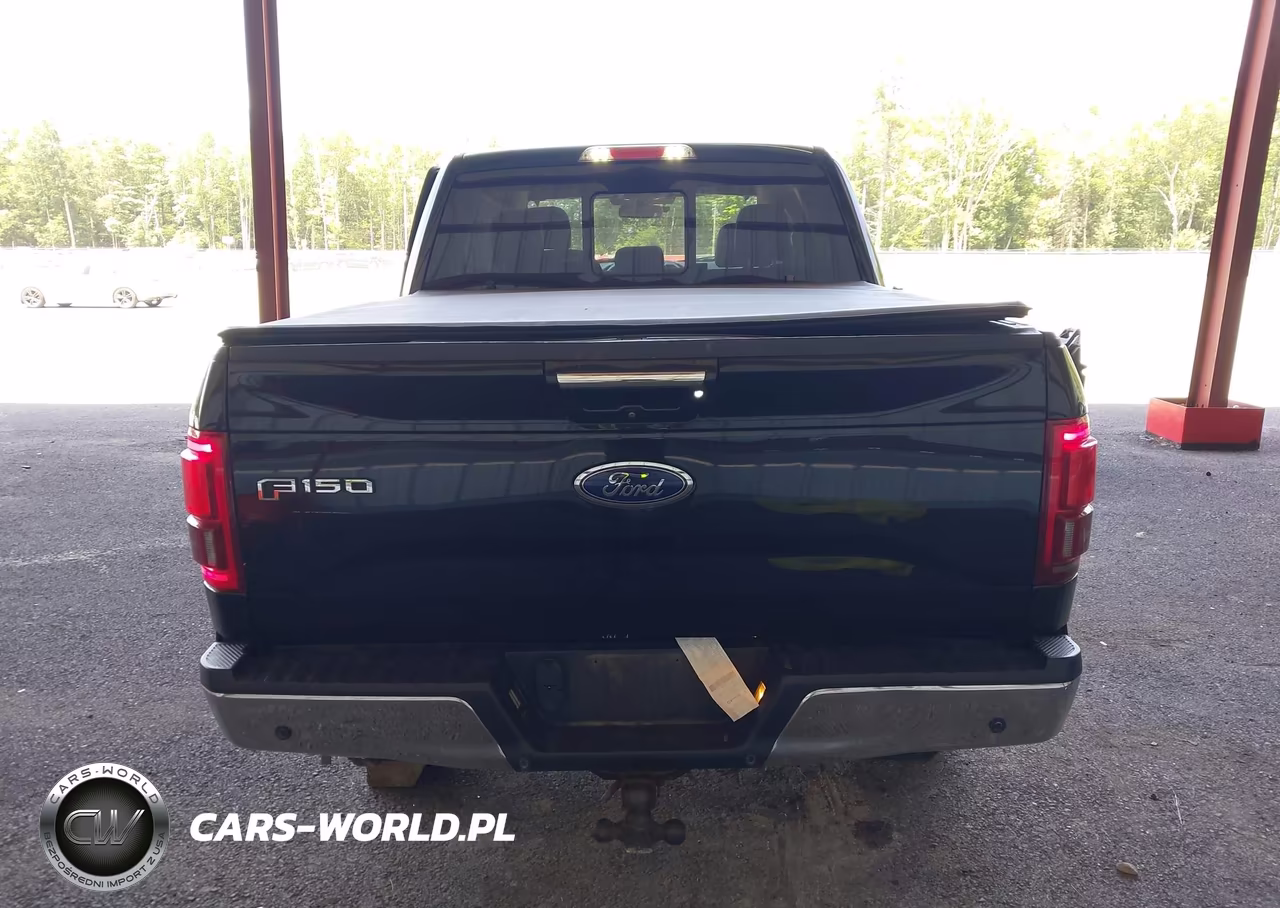 2016 Ford F-150 King Ranch-Lariat-Limited-Platinum-Xl-Xlt VIN:1FTEW1EG1GFA41874 - 16