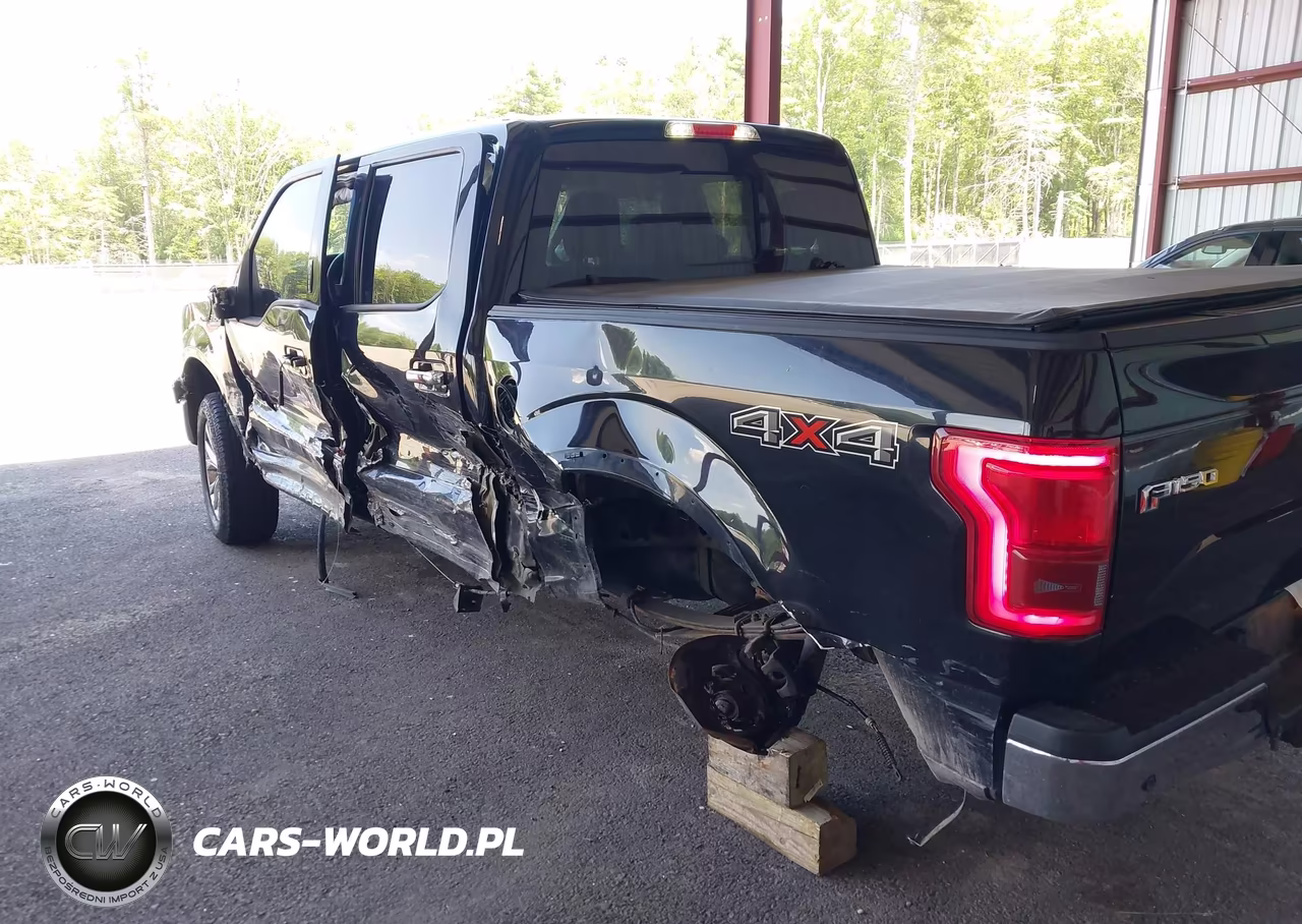 2016 Ford F-150 King Ranch-Lariat-Limited-Platinum-Xl-Xlt VIN:1FTEW1EG1GFA41874 - 17