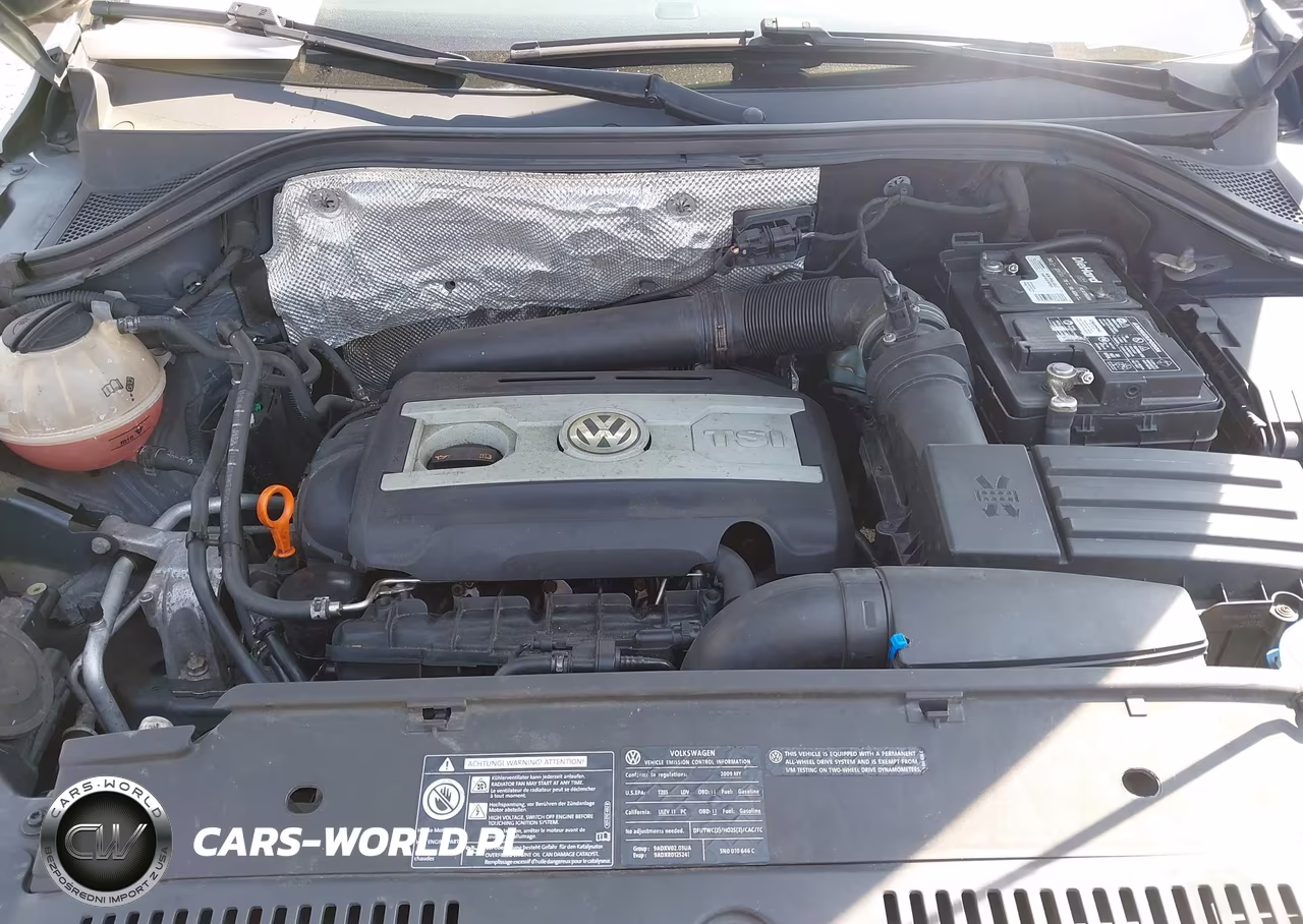 2009 Volkswagen Tiguan Se-Sel VIN:WVGBV75N89W520251 - 10