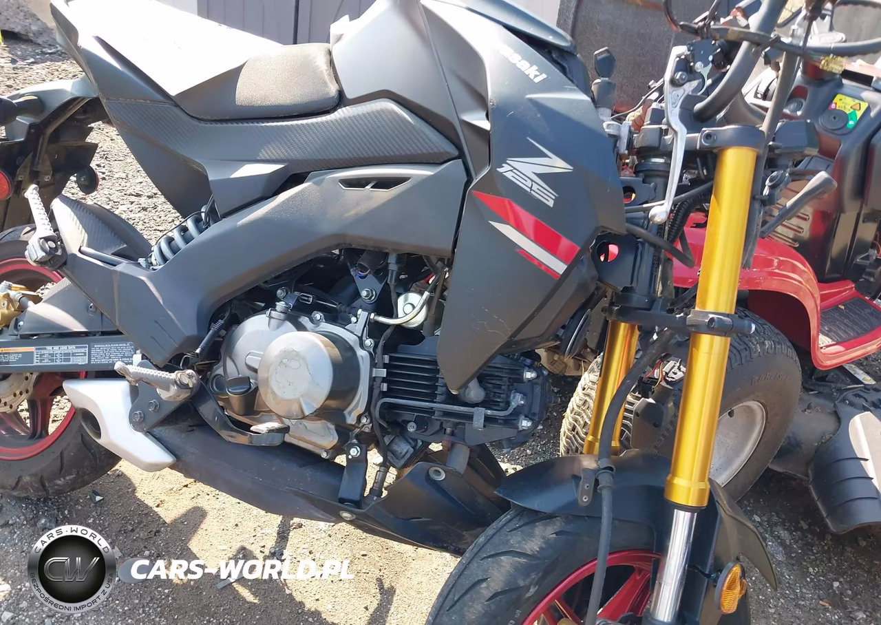 2021 Kawasaki Br125 J VIN:JKABRRJ1XMDA18933 - 8