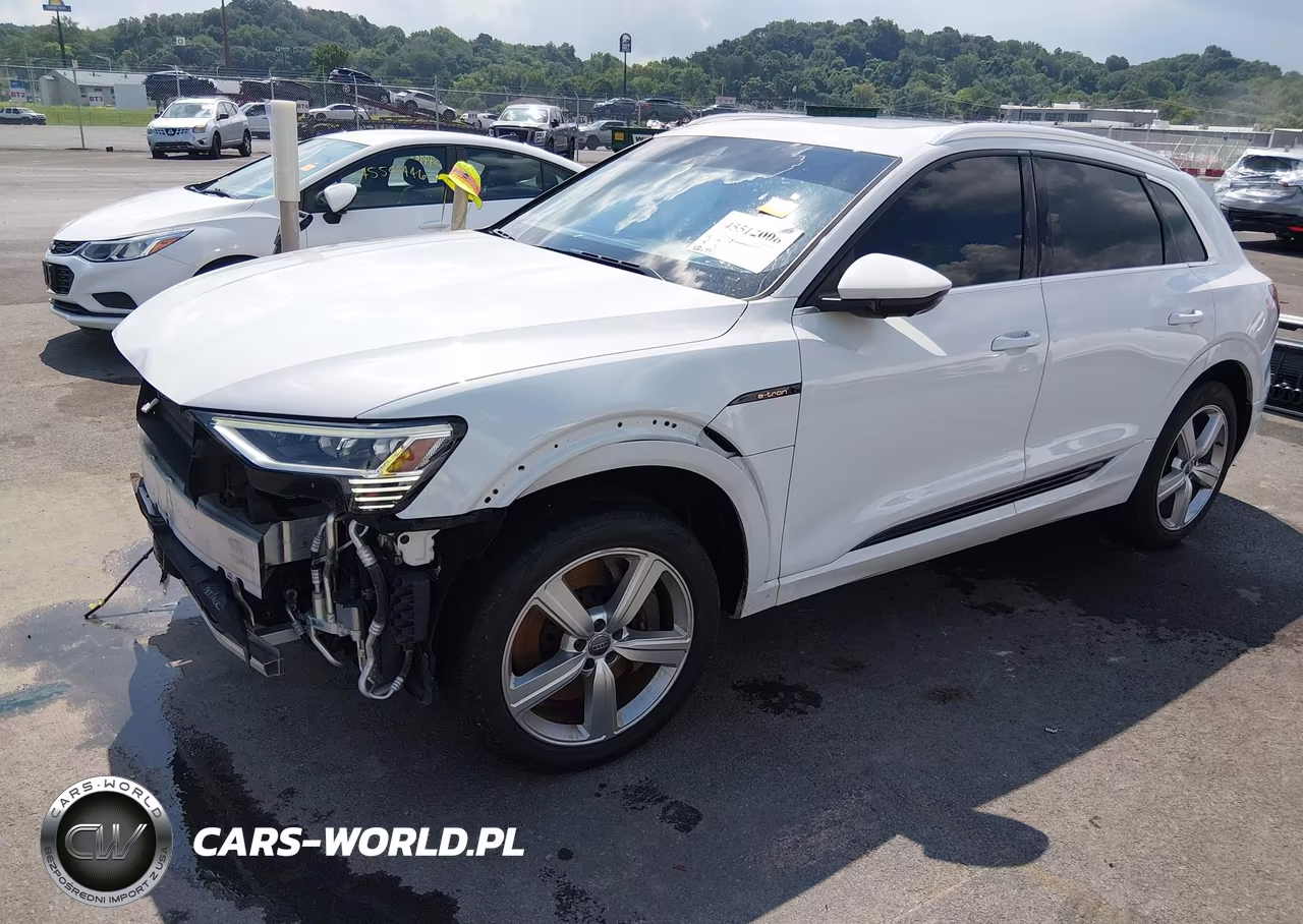 2019 Audi E-Tron Premium Plus VIN:WA1LAAGE2KB011276 - 2