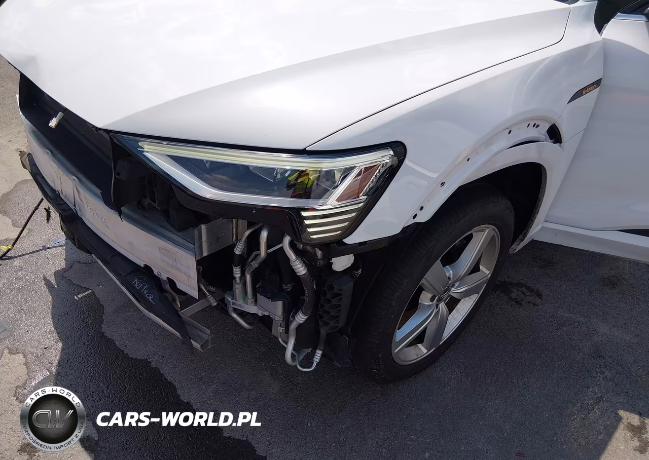 2019 Audi E-Tron Premium Plus VIN:WA1LAAGE2KB011276 - 22