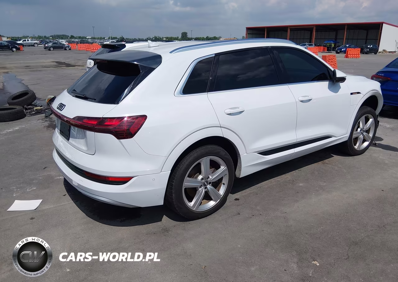 2019 Audi E-Tron Premium Plus VIN:WA1LAAGE2KB011276 - 4
