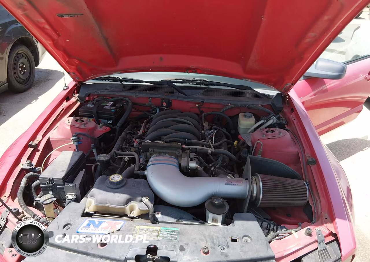 2006 Ford Mustang Gt VIN:1ZVHT82H665108630 - 10