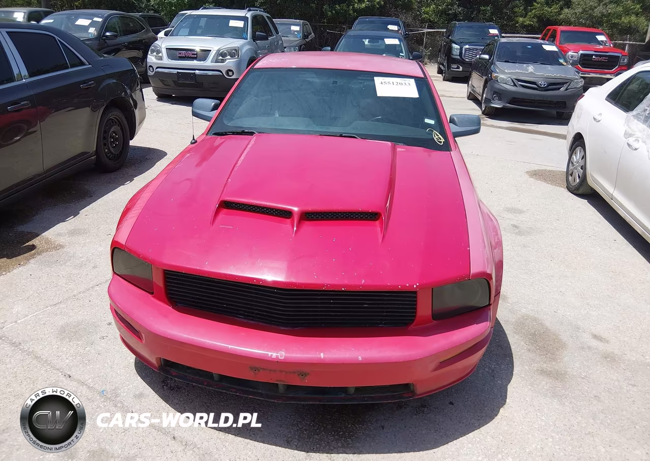 2006 Ford Mustang Gt VIN:1ZVHT82H665108630 - 12