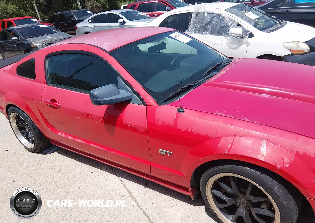2006 Ford Mustang Gt VIN:1ZVHT82H665108630 - 13
