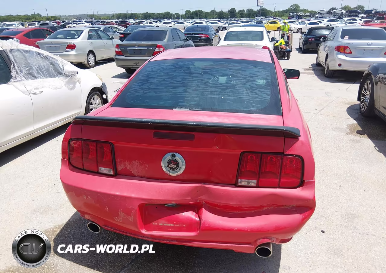 2006 Ford Mustang Gt VIN:1ZVHT82H665108630 - 16