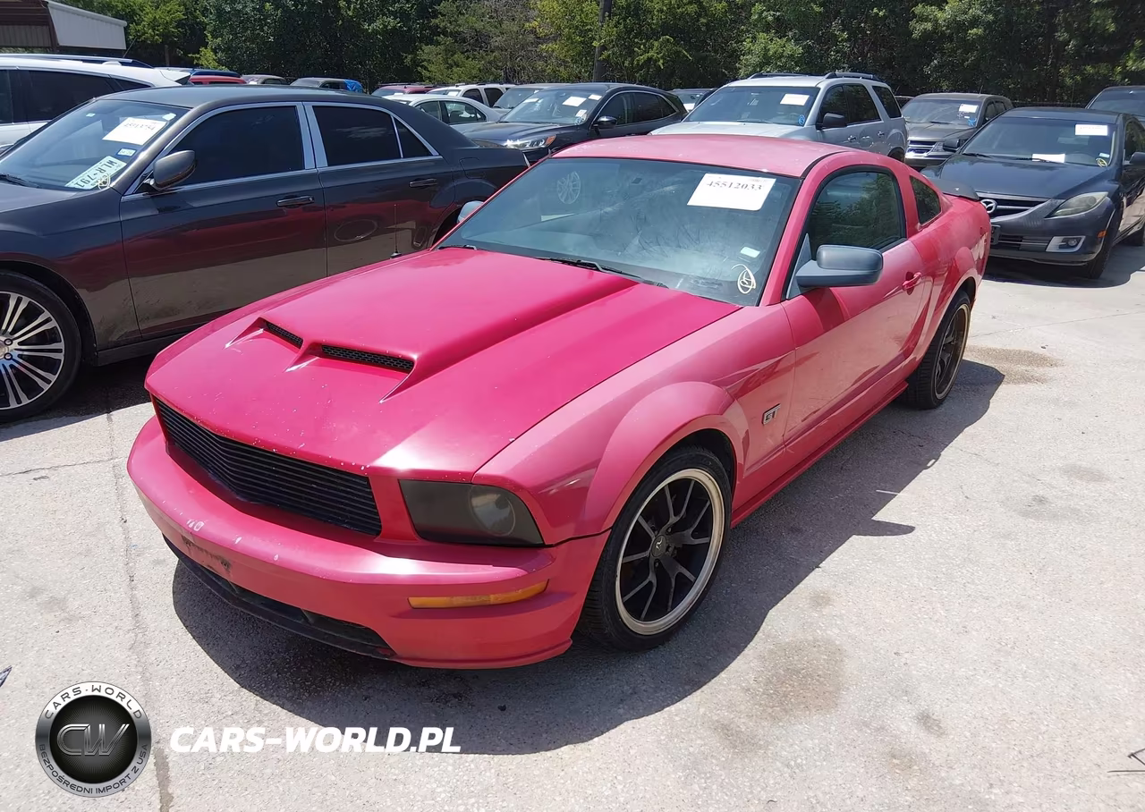 2006 Ford Mustang Gt VIN:1ZVHT82H665108630 - 2