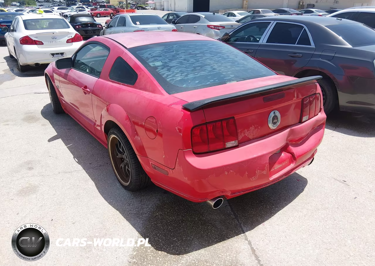 2006 Ford Mustang Gt VIN:1ZVHT82H665108630 - 3