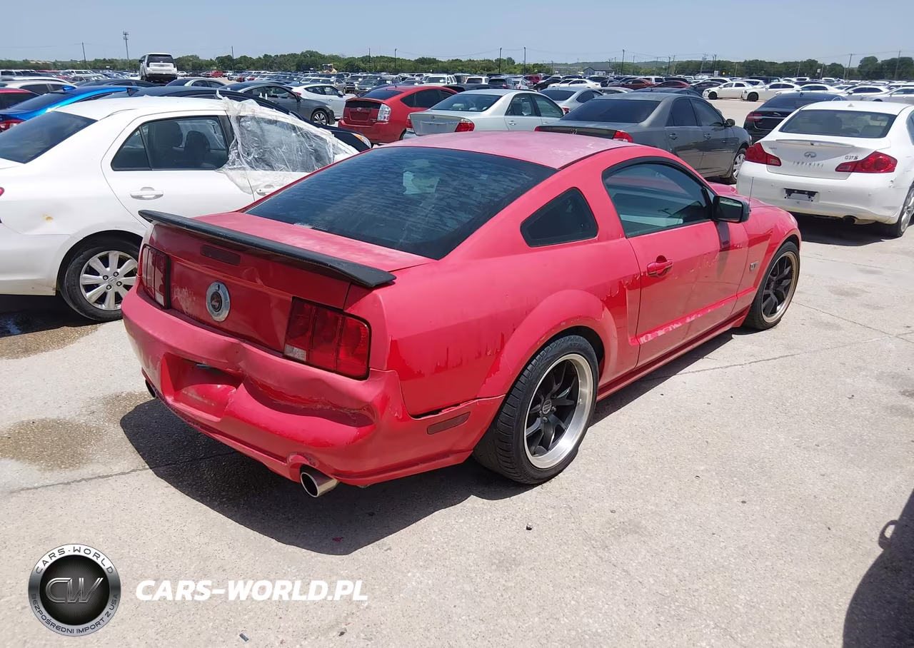 2006 Ford Mustang Gt VIN:1ZVHT82H665108630 - 4