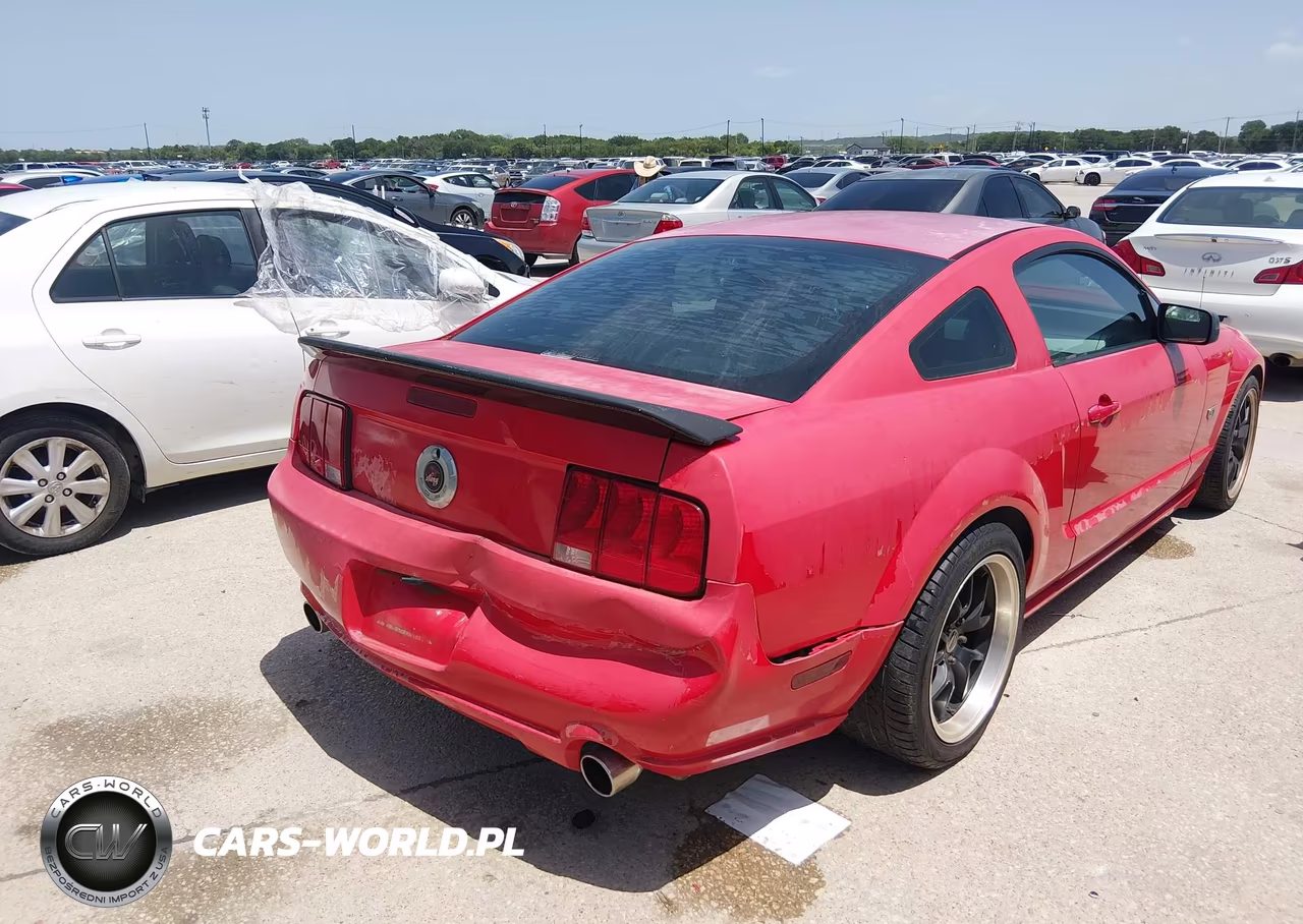 2006 Ford Mustang Gt VIN:1ZVHT82H665108630 - 6