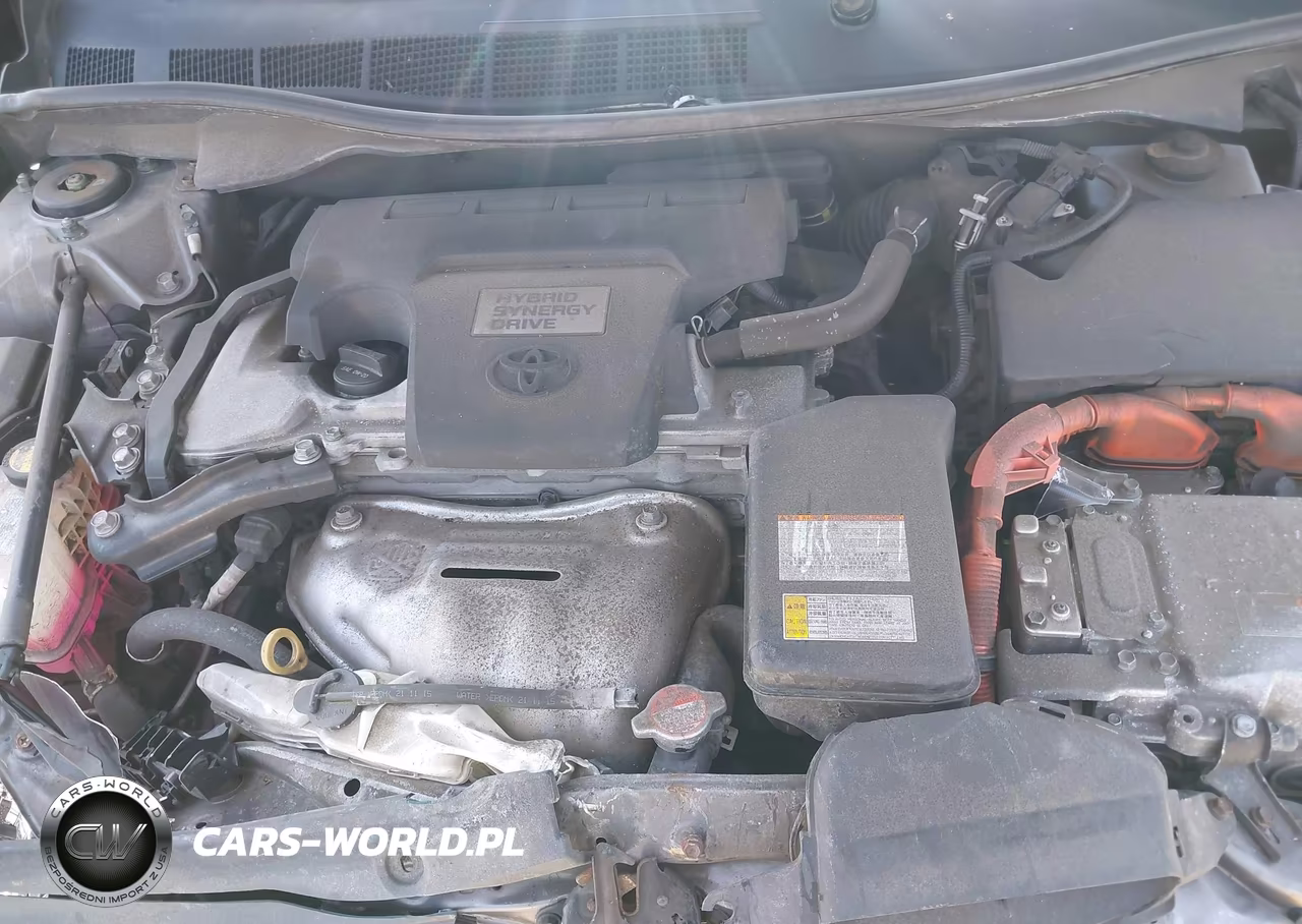 2016 Toyota Camry Hybrid Xle VIN:4T1BD1FK5GU194602 - 10