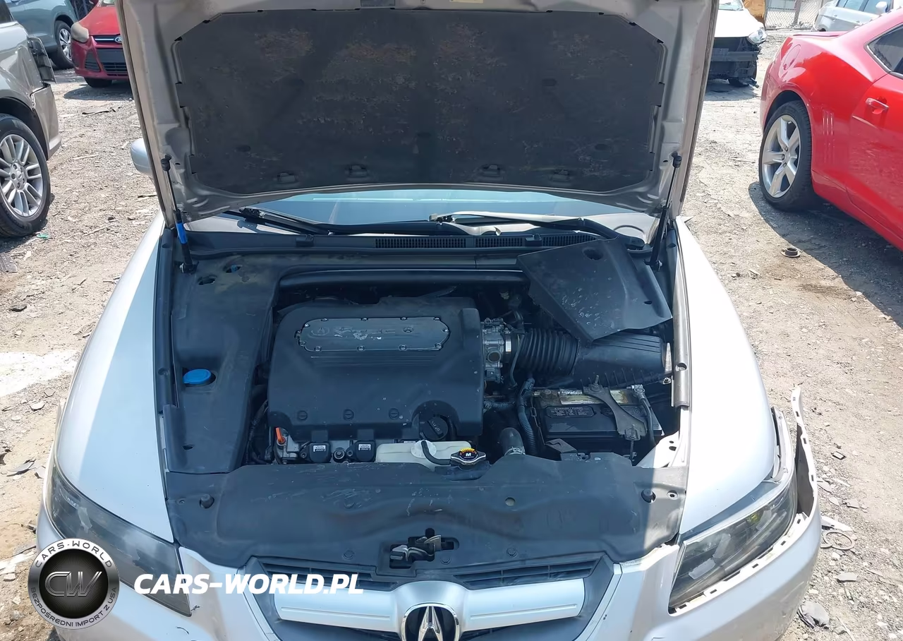 2004 Acura Tl VIN:19UUA66284A075850 - 10