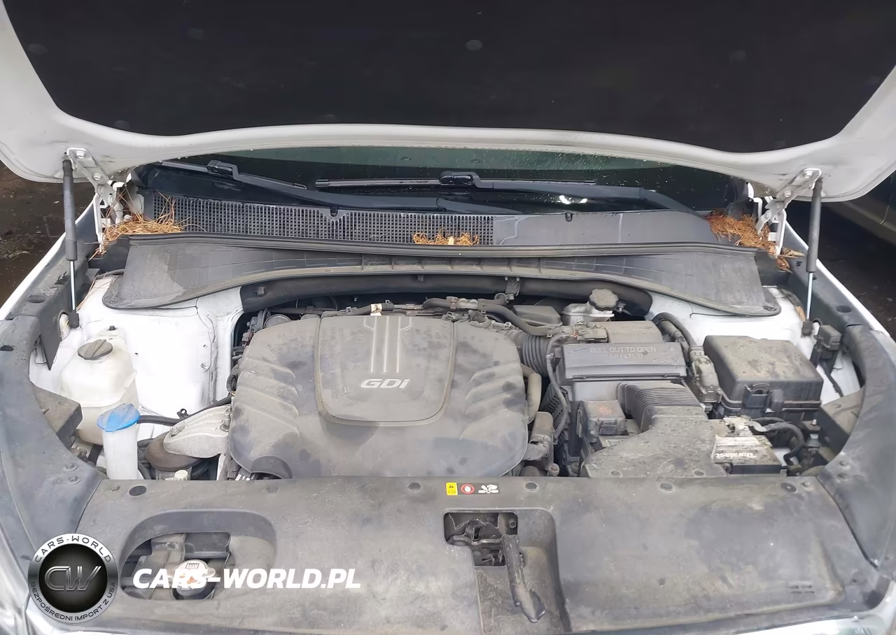 2016 Kia Sorento 3.3L Lx VIN:5XYPGDA57GG157640 - 10