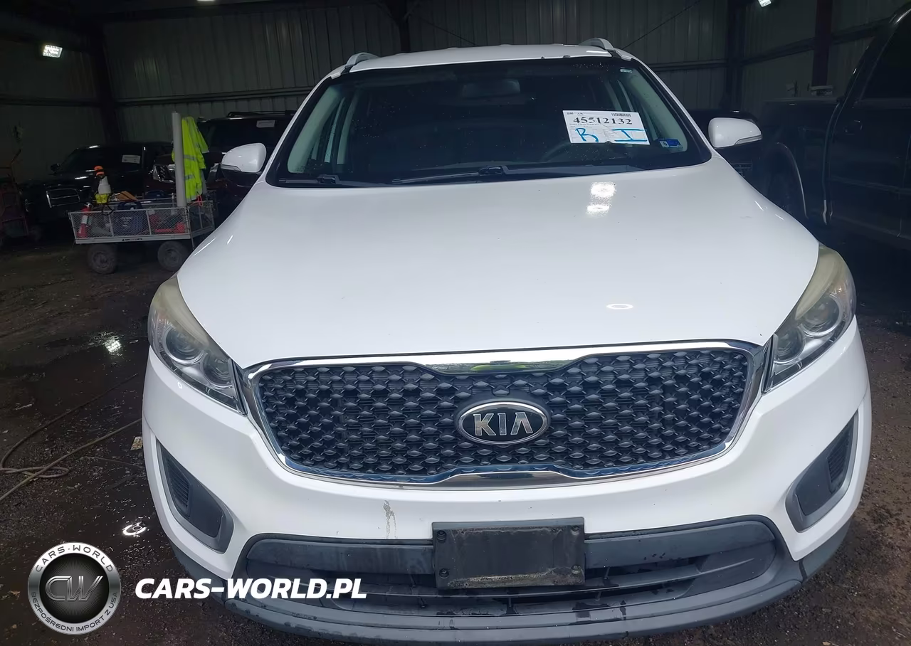2016 Kia Sorento 3.3L Lx VIN:5XYPGDA57GG157640 - 12