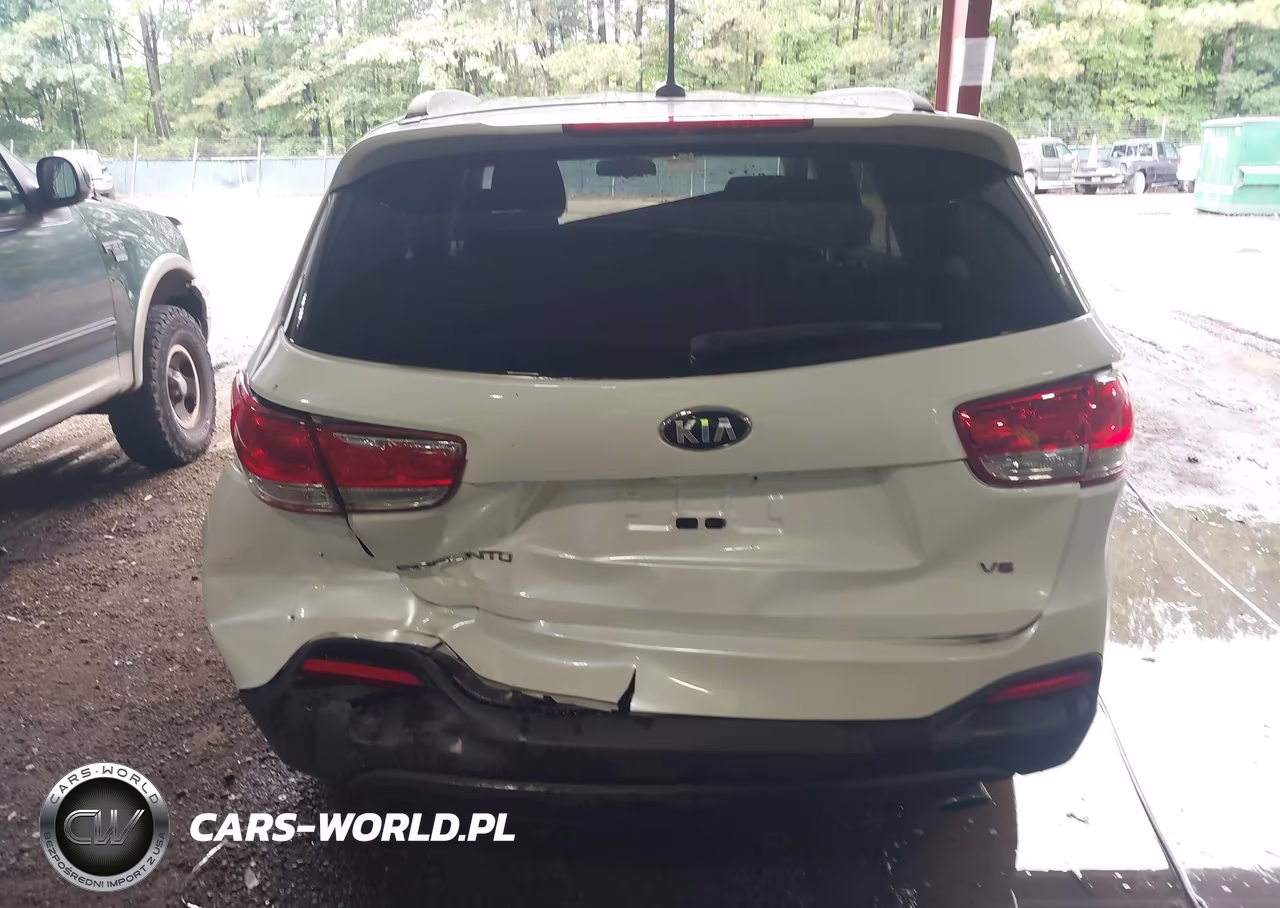 2016 Kia Sorento 3.3L Lx VIN:5XYPGDA57GG157640 - 16