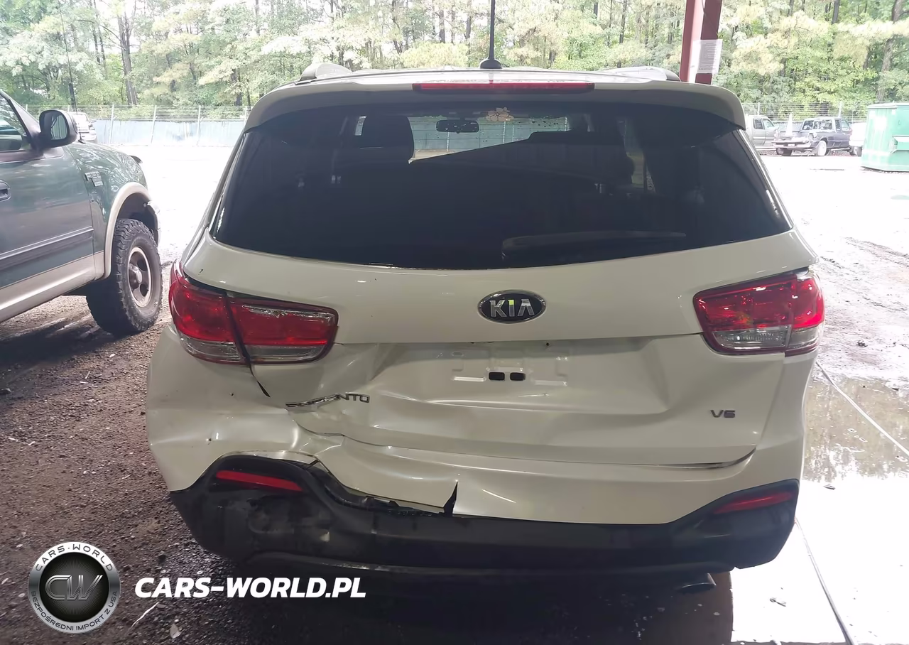2016 Kia Sorento 3.3L Lx VIN:5XYPGDA57GG157640 - 6