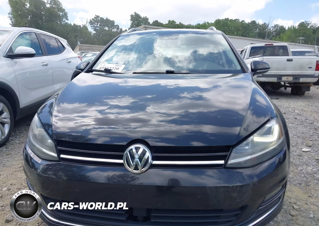 2016 Volkswagen Golf Sportwagen Tsi Limited Edition-Tsi S 4-Door-Tsi Se 4-Door-Tsi Sel 4-Door VIN:3VWC17AU3GM517916 - 12