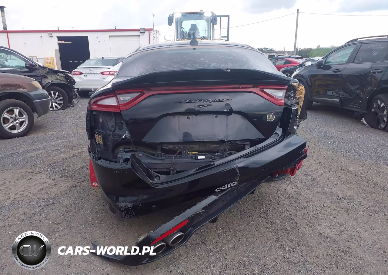 2018 Kia Stinger Gt1 VIN:KNAE45LC5J6028529 - 16
