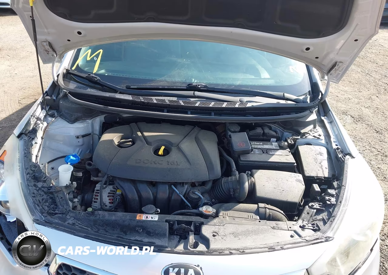 2015 Kia Forte Lx VIN:KNAFK4A65F5408159 - 10