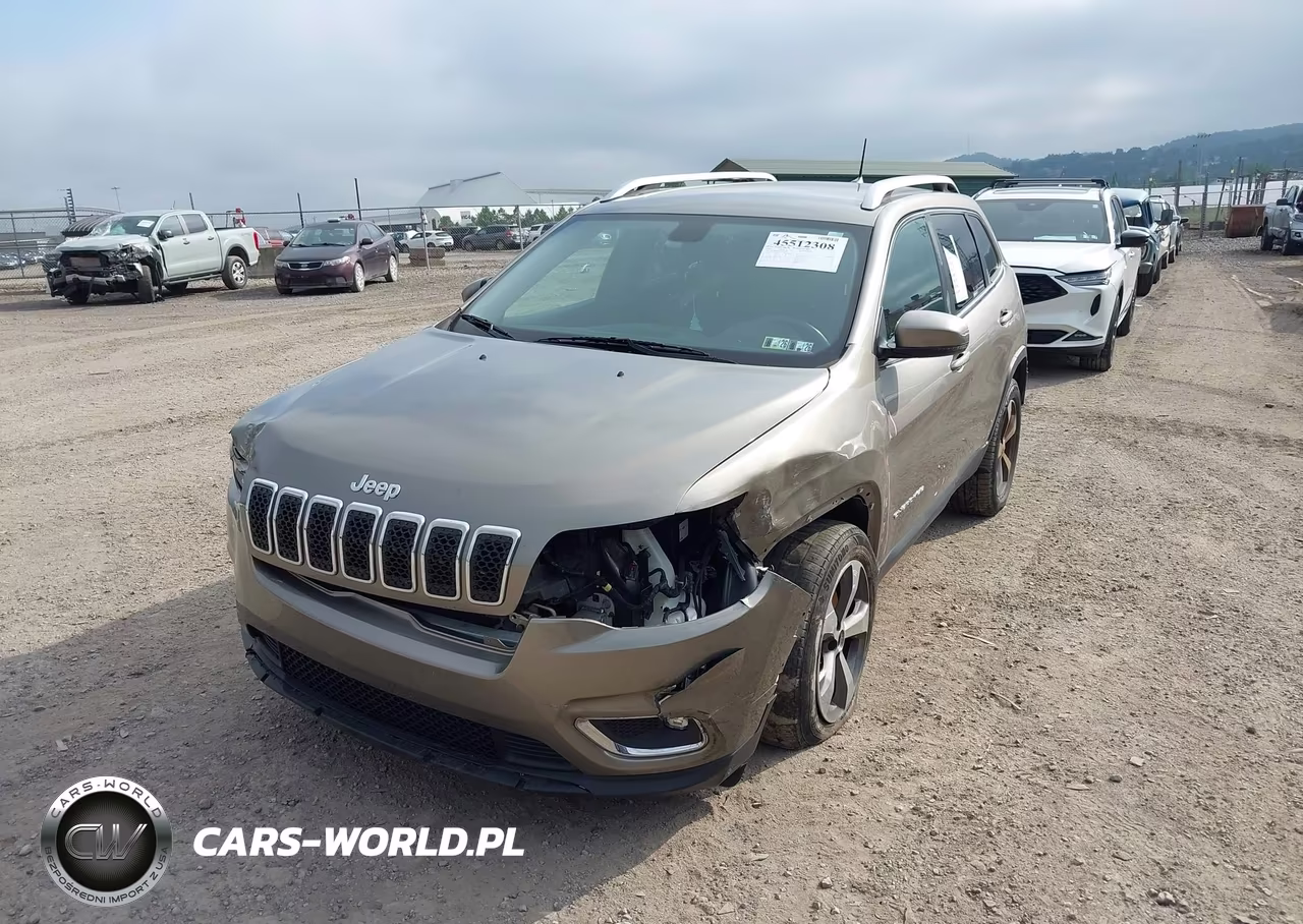 2019 Jeep Cherokee Limited 4X4 VIN:1C4PJMDN6KD142387 - 2