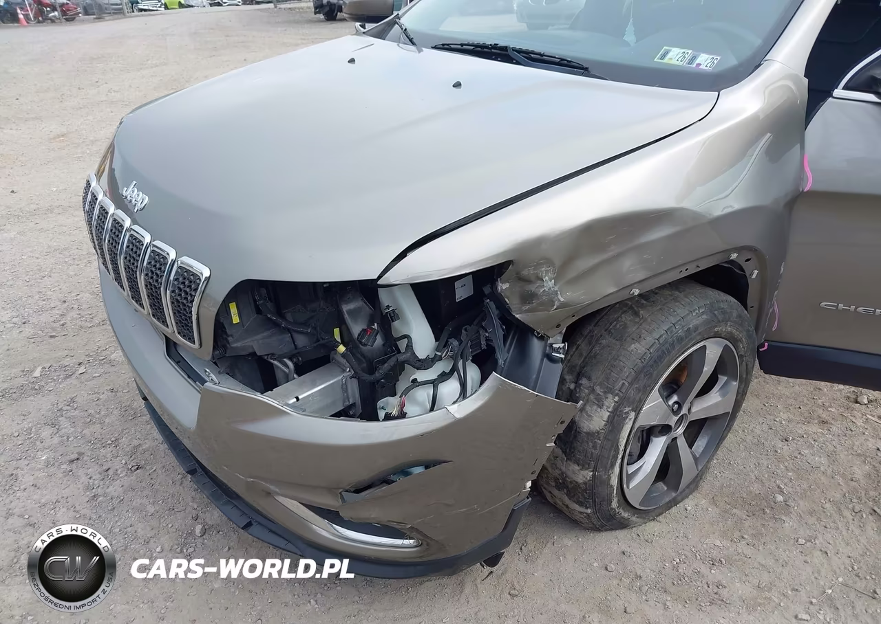 2019 Jeep Cherokee Limited 4X4 VIN:1C4PJMDN6KD142387 - 6