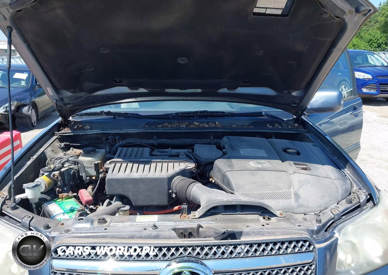 2006 Toyota Highlander Hybrid V6 VIN:JTEDW21A960012042 - 10