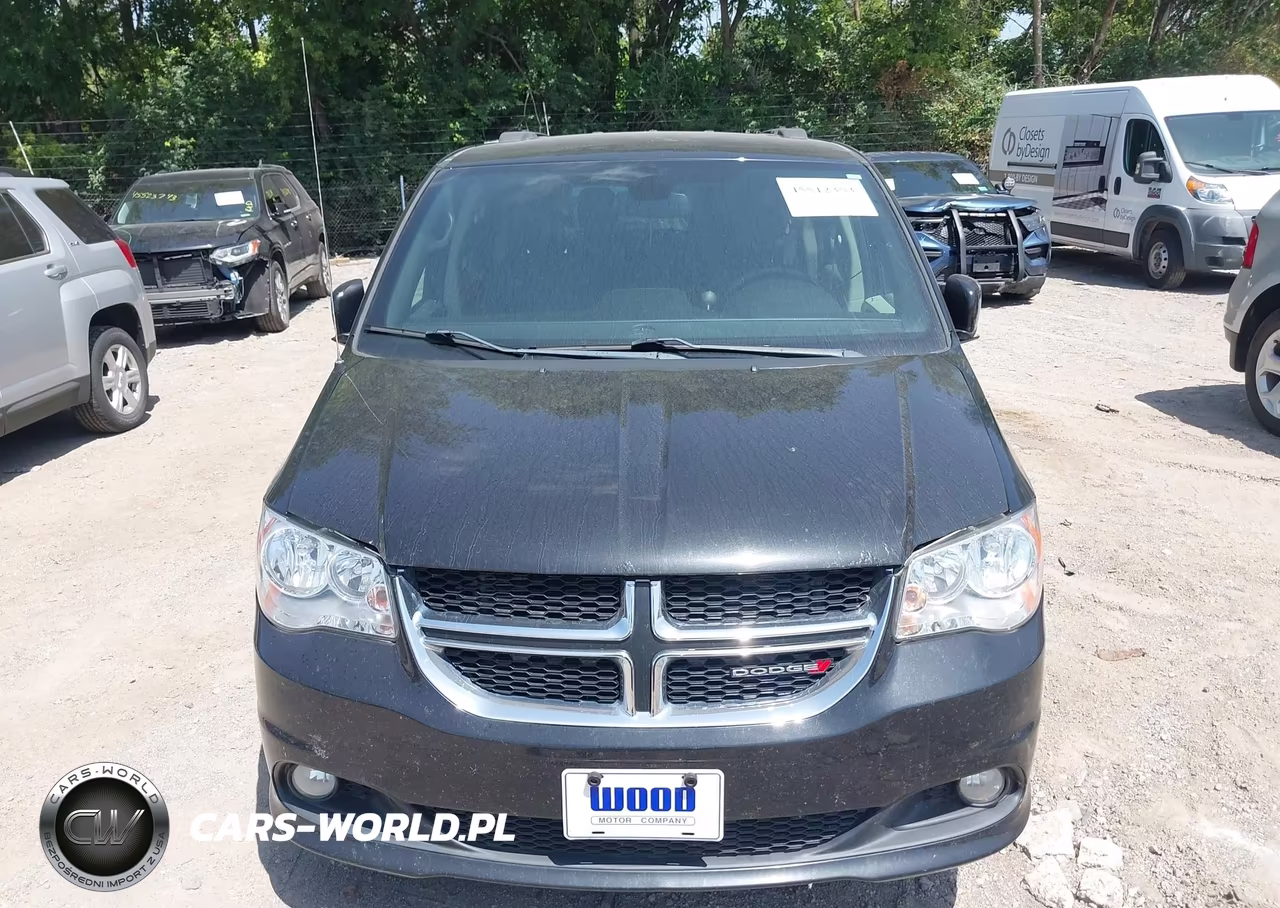 2019 Dodge Grand Caravan Sxt VIN:2C4RDGCG1KR565881 - 12